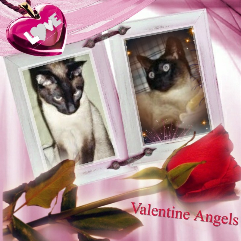 Blanche uploaded   89  day/s  ago