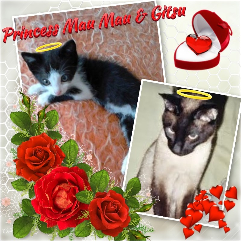 Blanche uploaded   89  day/s  ago