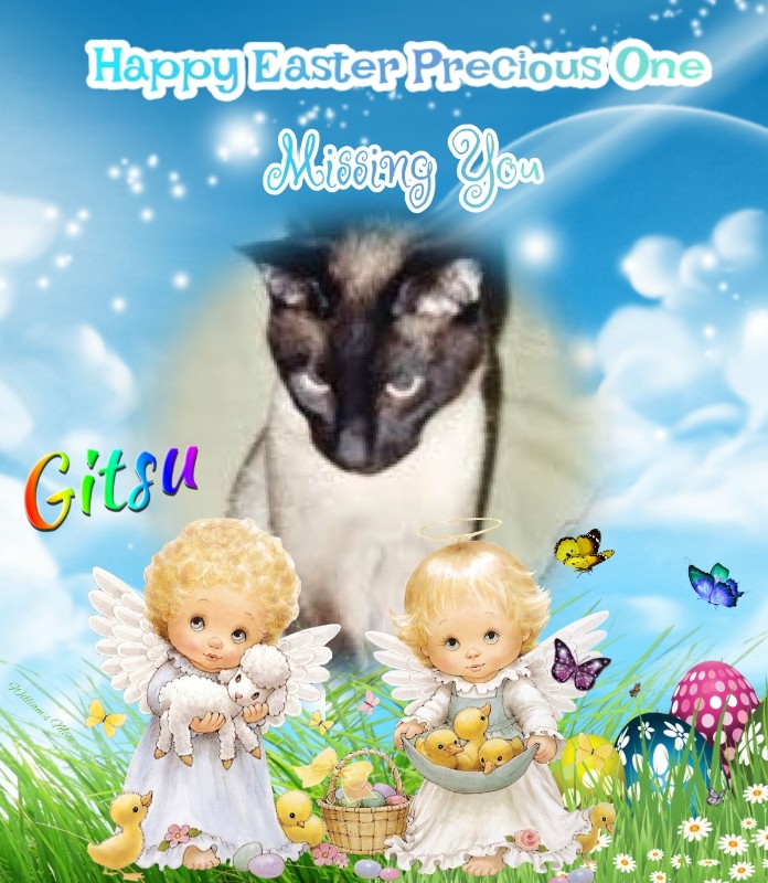 Blanche uploaded   8  day/s  ago