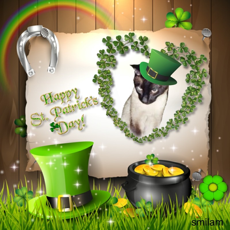 Blanche uploaded   55  day/s  ago