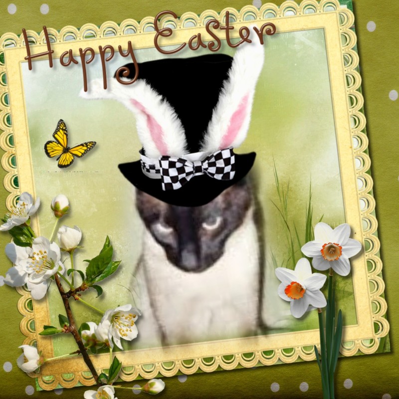 Blanche uploaded   18  day/s  ago