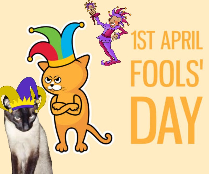 Blanche uploaded   13  day/s  ago