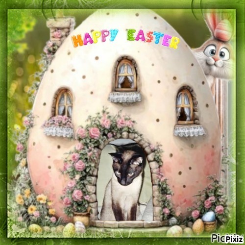 Blanche uploaded   7  day/s  ago