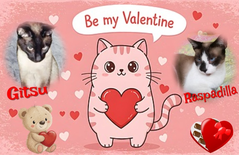 Blanche uploaded   85  day/s  ago