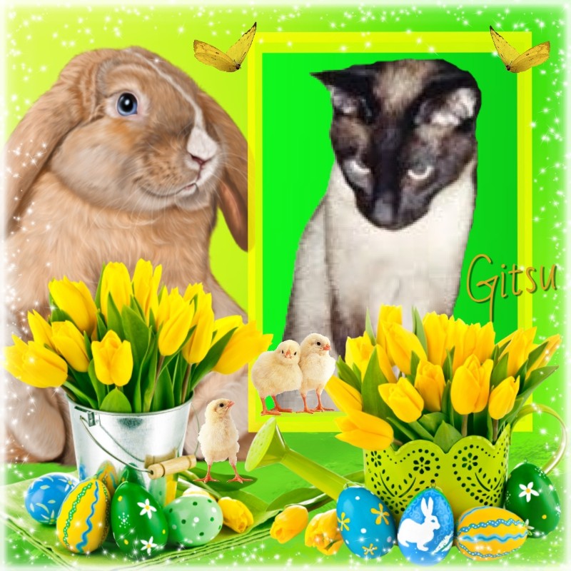 Blanche uploaded   8  day/s  ago