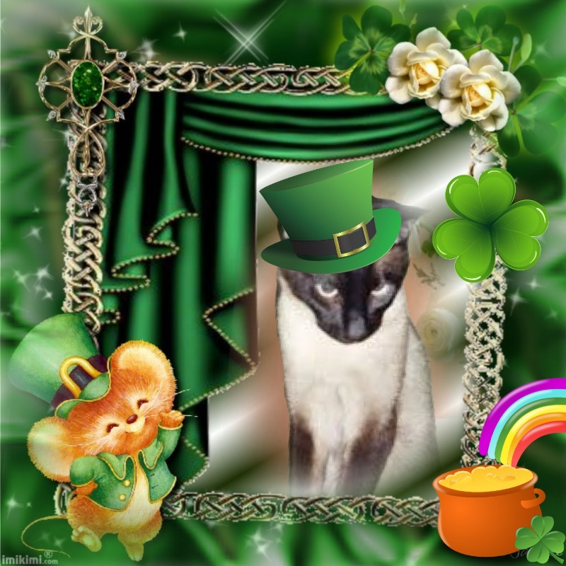 Blanche uploaded   47  day/s  ago