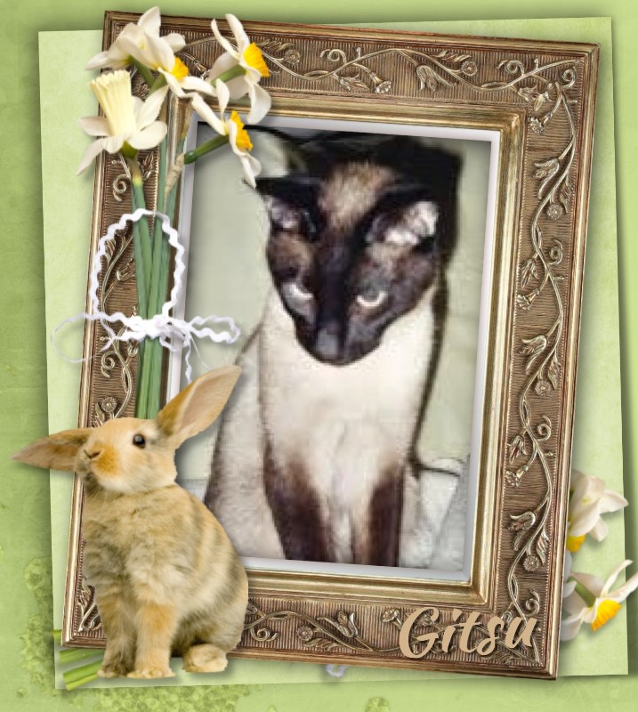 Blanche uploaded   8  day/s  ago