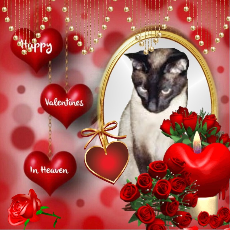 Blanche uploaded   83  day/s  ago