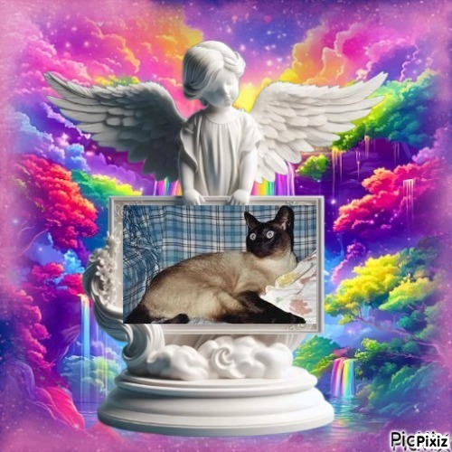 Blanche uploaded   64  day/s  ago