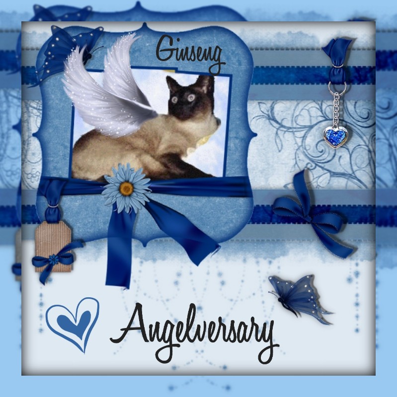 Blanche uploaded   64  day/s  ago