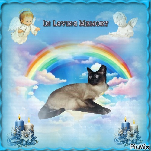 Blanche uploaded   64  day/s  ago