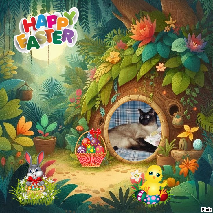 Blanche uploaded   7  day/s  ago