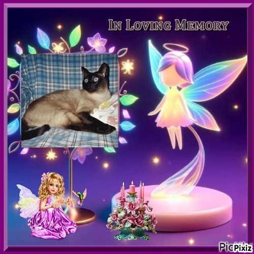 Blanche uploaded   64  day/s  ago