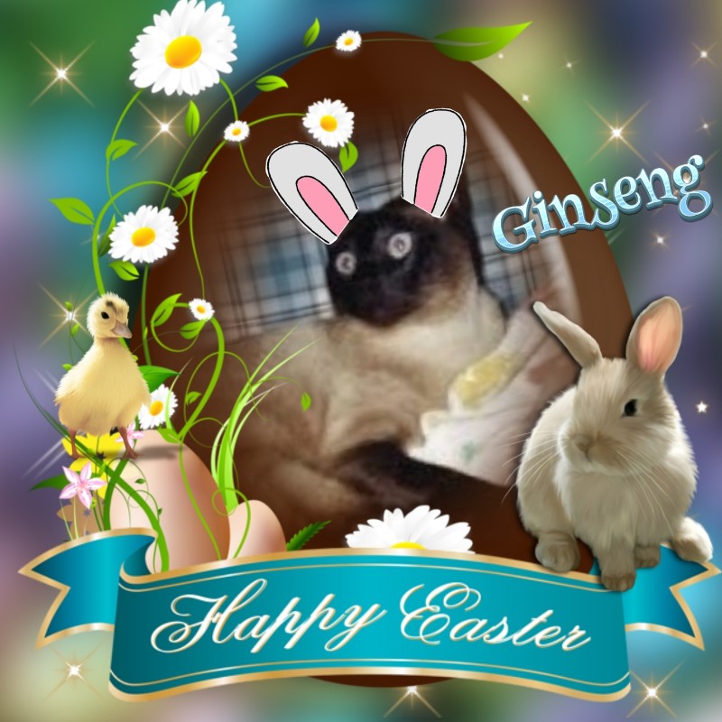 Blanche uploaded   18  day/s  ago