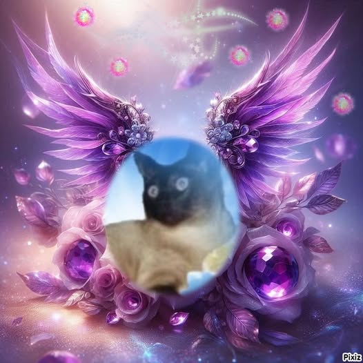 Blanche uploaded   64  day/s  ago