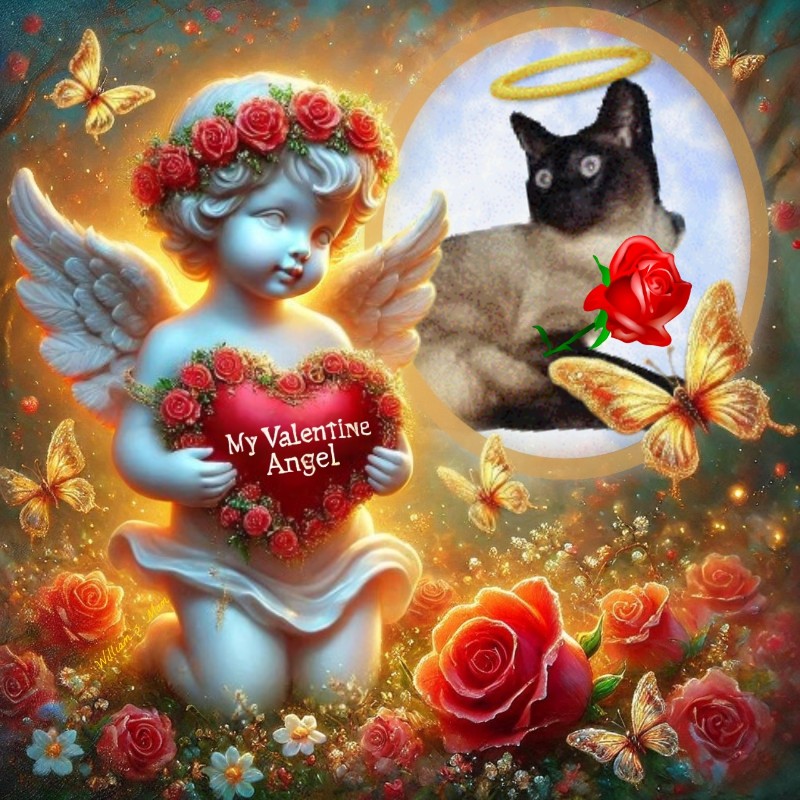 Blanche uploaded   85  day/s  ago