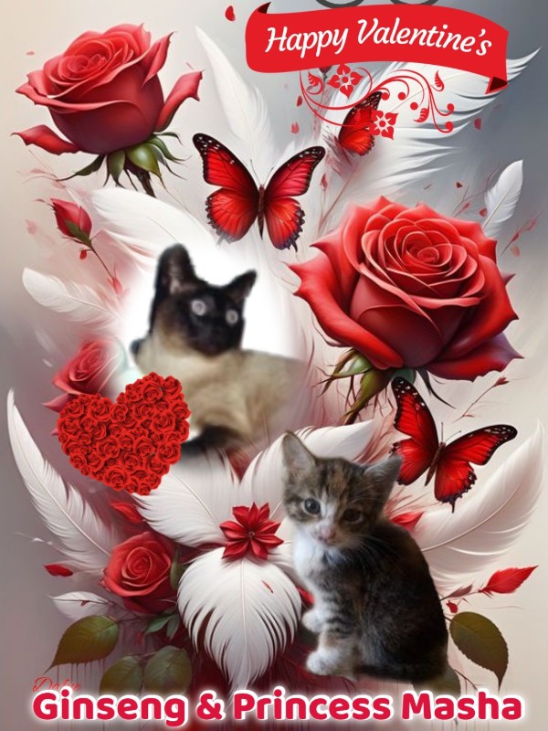 Blanche uploaded   82  day/s  ago