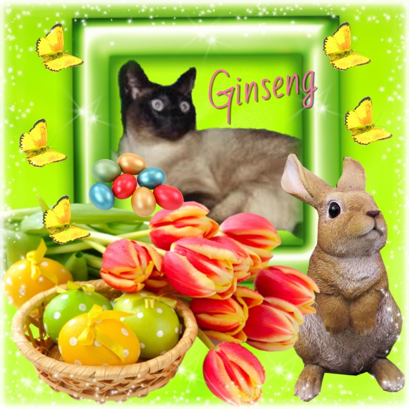 Blanche uploaded   15  day/s  ago