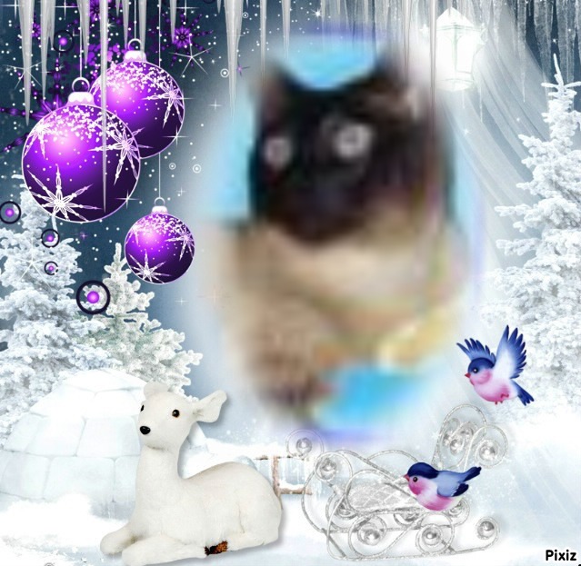 My Angels of the Blanche family