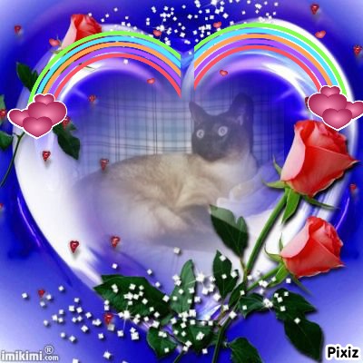 My Angels of the Blanche family