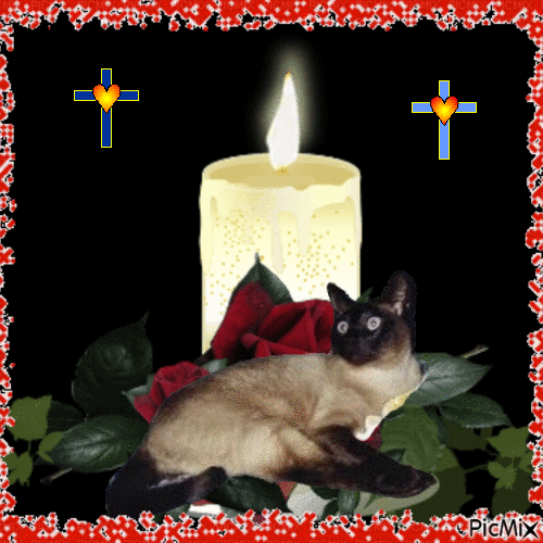 Blanche uploaded   64  day/s  ago