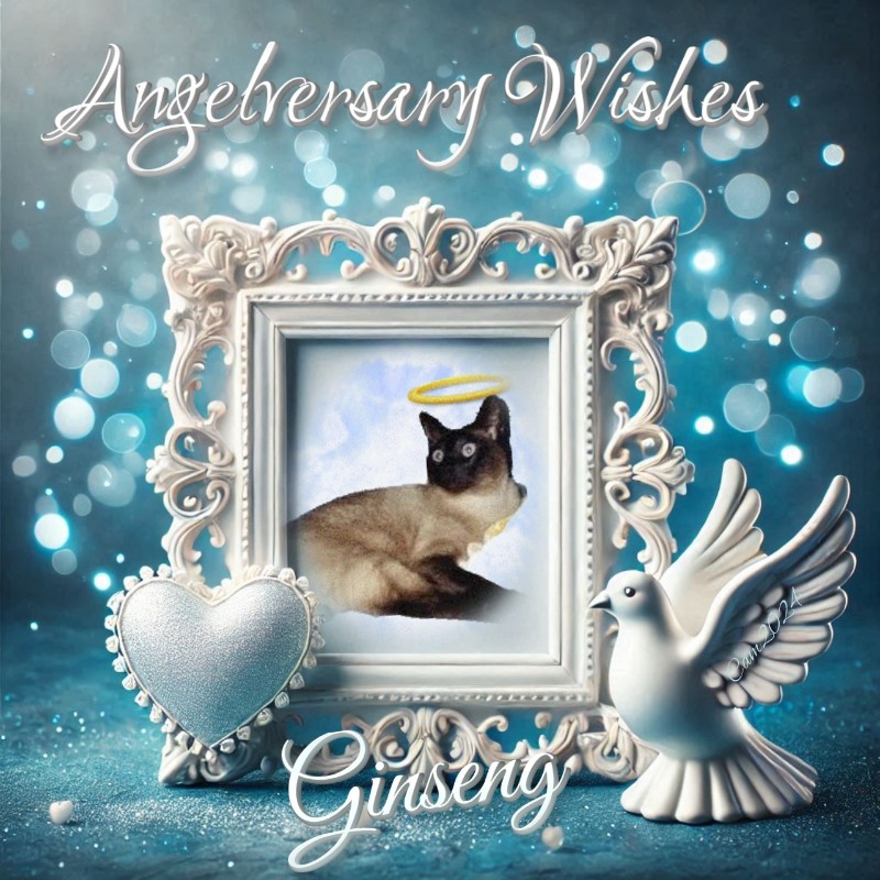 Blanche uploaded   64  day/s  ago