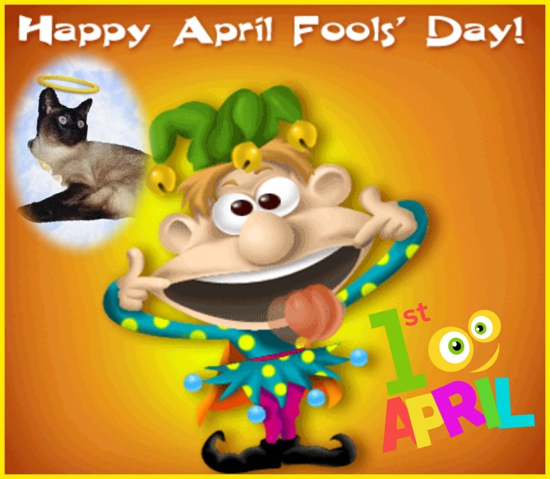 Blanche uploaded   20  day/s  ago