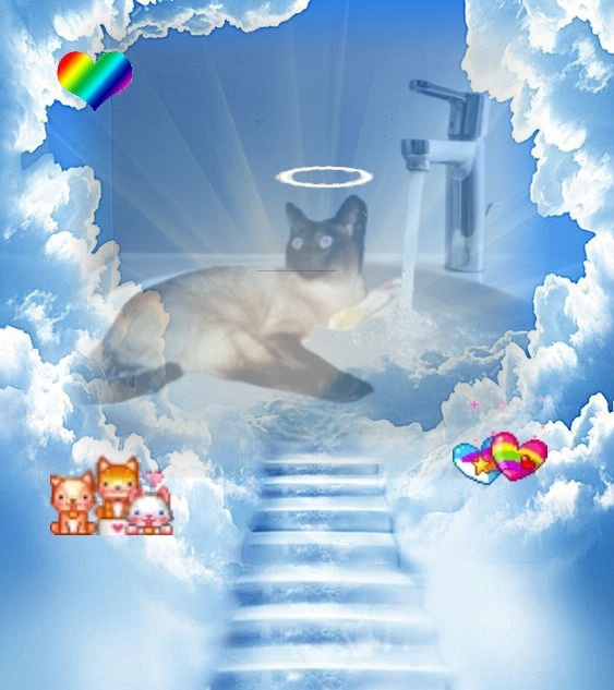 My Angels of the Blanche family