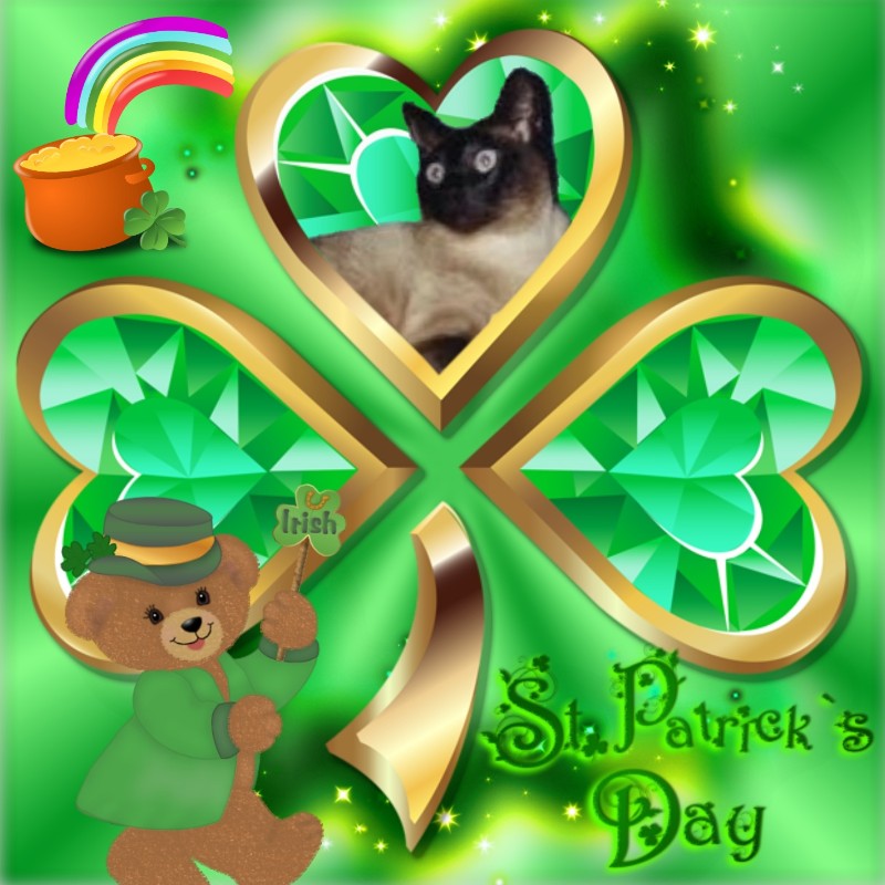 Blanche uploaded   55  day/s  ago