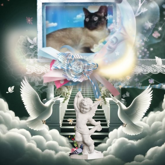 Blanche uploaded   1 hour/s ago