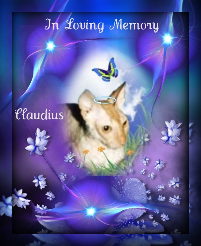 Blanche uploaded   72  day/s  ago