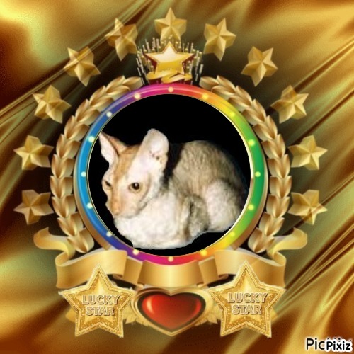 Blanche uploaded   24  min/s  ago