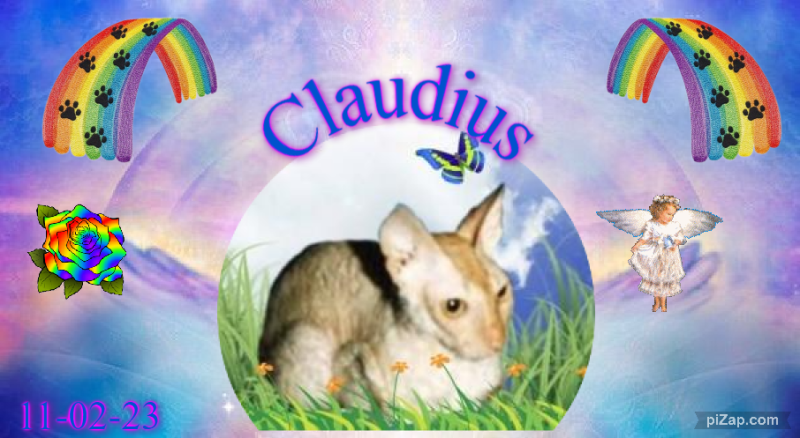 Blanche uploaded   75  day/s  ago