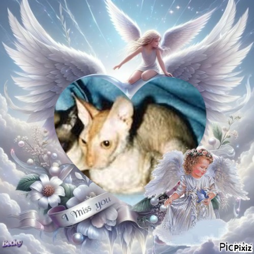 Blanche uploaded   74  day/s  ago