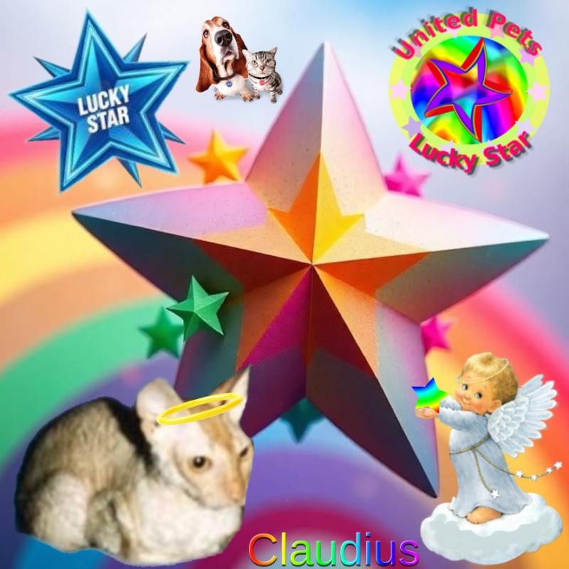 My Angels of the Blanche family