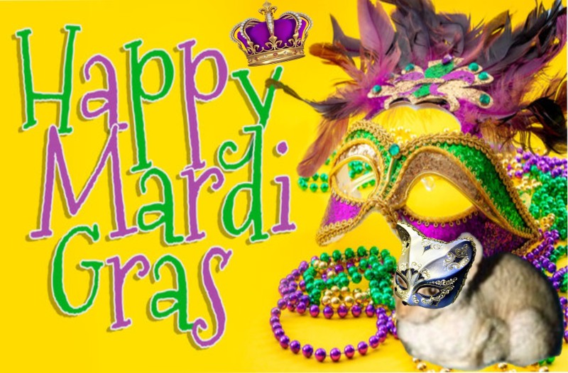 Blanche uploaded   96  day/s  ago