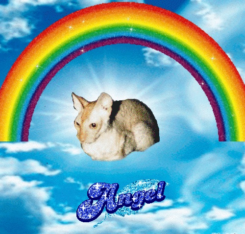 Blanche uploaded   75  day/s  ago