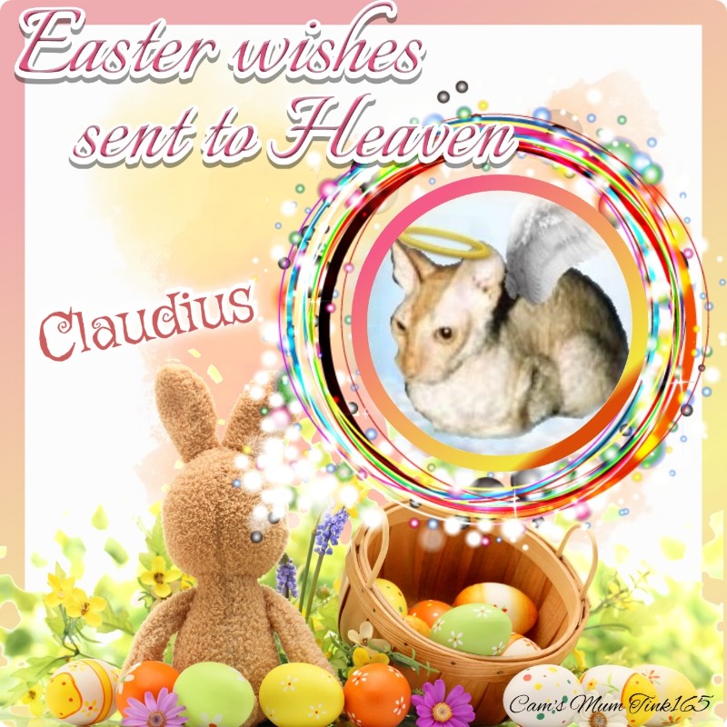 Blanche uploaded   15  day/s  ago