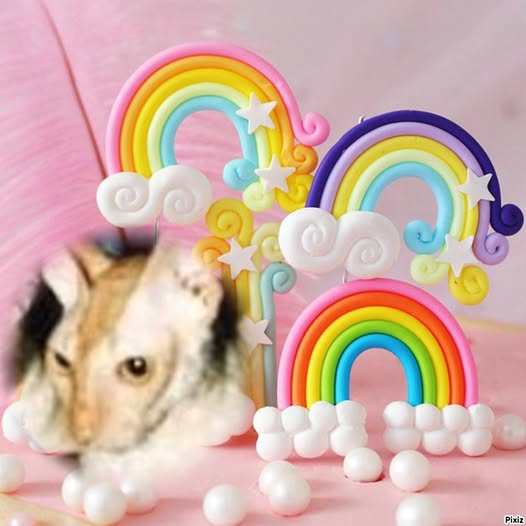 Blanche uploaded   74  day/s  ago