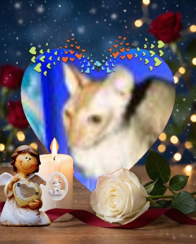 Blanche uploaded   73  day/s  ago