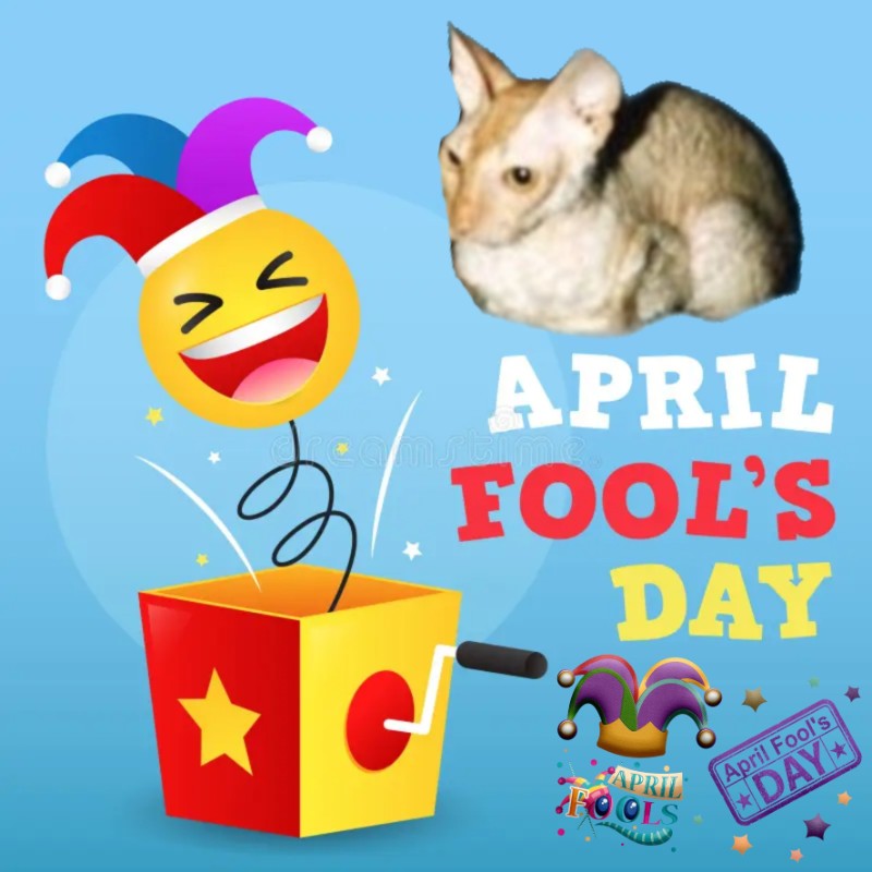 Blanche uploaded   23  day/s  ago