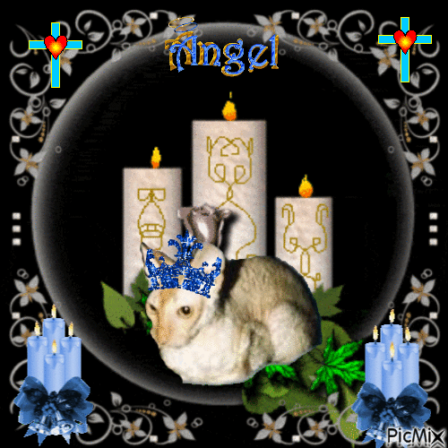 Blanche uploaded   74  day/s  ago