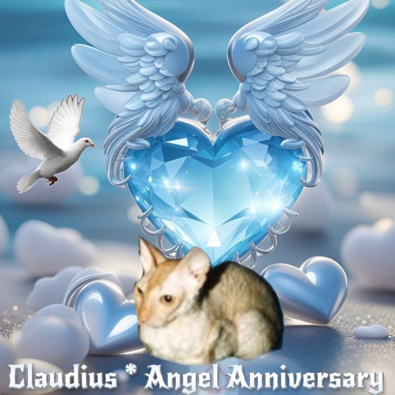 Blanche uploaded   75  day/s  ago