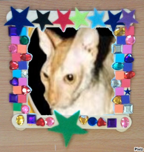 Blanche uploaded   1  day/s  ago