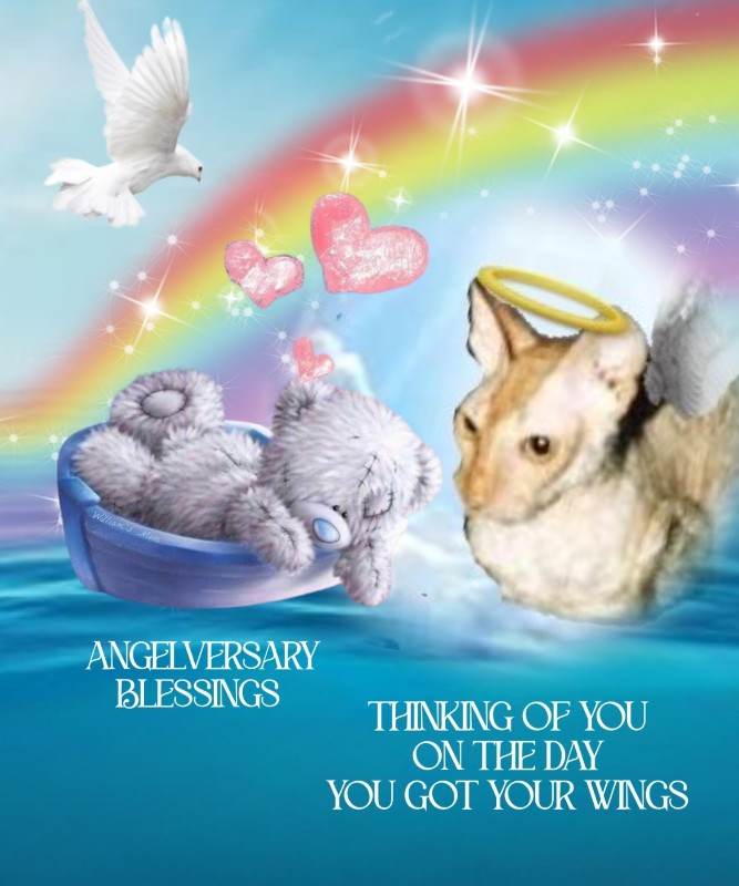 Blanche uploaded   75  day/s  ago