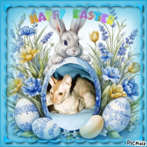 Blanche uploaded   7  day/s  ago