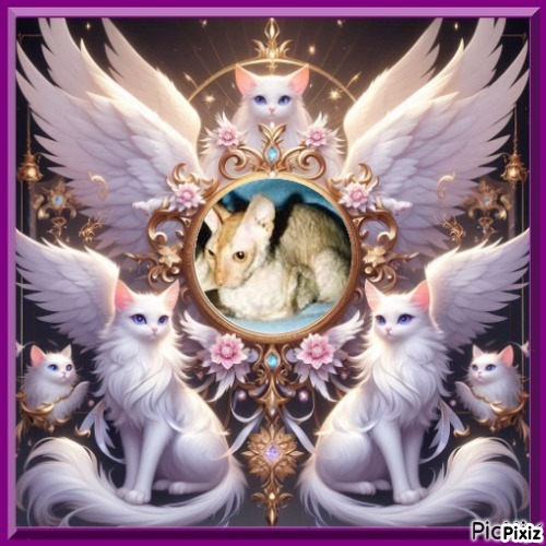 Blanche uploaded   74  day/s  ago