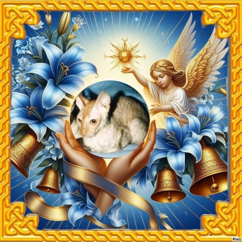 Blanche uploaded   74  day/s  ago