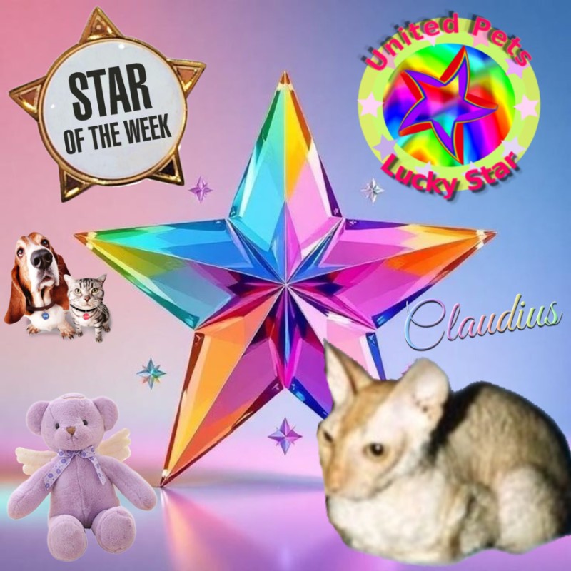 My Angels of the Blanche family