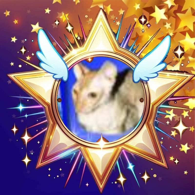 My Angels of the Blanche family